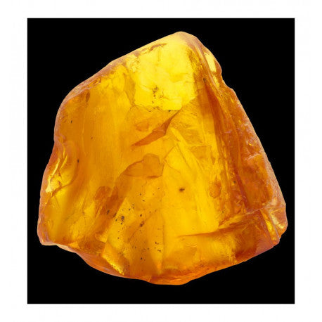 YODEYMA Caribbean vyriški kvepalai su ambro ir citrusų aromatu, puikiai tinkantys kasdieniam naudojimui