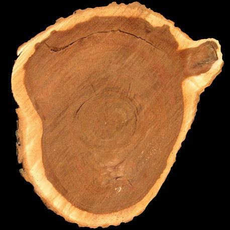 YODEYMA Kent kvepalai su medienos aromatu ir natūraliu kvapu iš natūralaus medžio sluoksnio