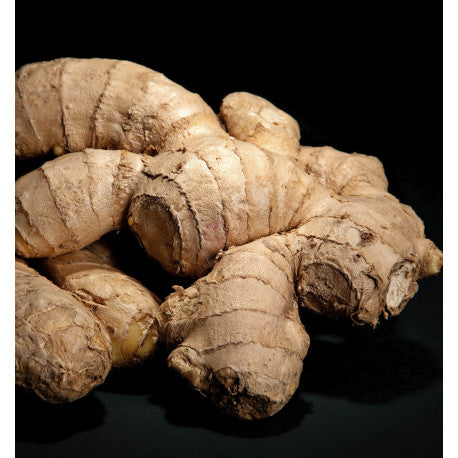 YODEYMA Magnétisme kvepalai su imbieru, natūralus ir unikalus kvapas