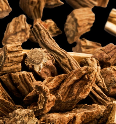 YODEYMA Root Eau de Parfum Vyriški Kvepalai sudedamosios dalys, medžio pakuotė ir aromatiniai riebalai