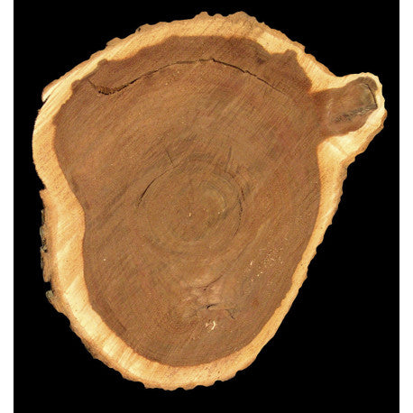 YODEYMA Timeless Eau de Parfum Kvepalai su mediniais akcentais, elegantiškas ir šiltas aromatas