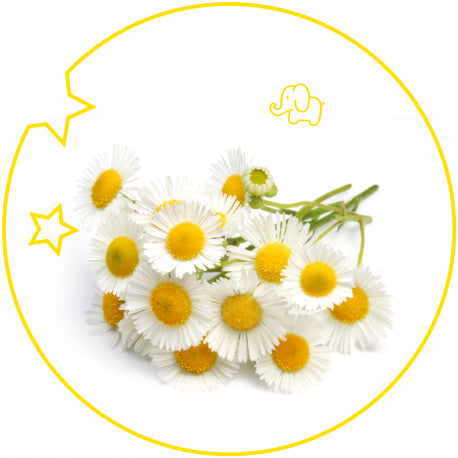 YODEYMA Vaikiški Kvepalai Kids Eau de Parfum 125ml