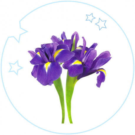 YODEYMA Vaikiški Kvepalai su violetinėmis ir geltonomis gėlėmis, kurios suteikia gaivumo ir žaismingumo